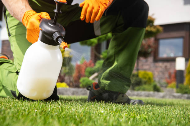 Best Pest Removal Services  in Oak Grove, AL
