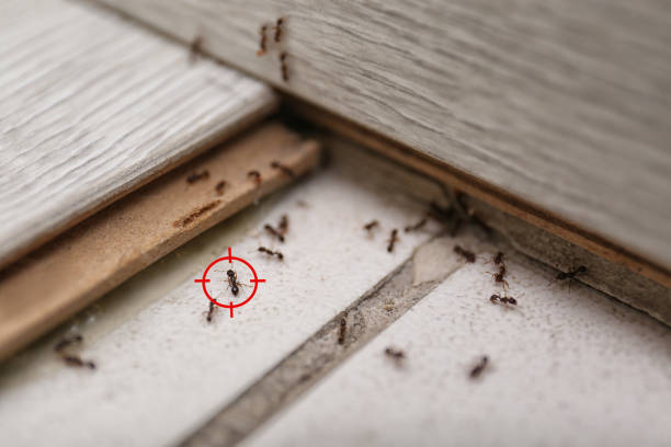 Oak Grove, AL Pest Control Company
