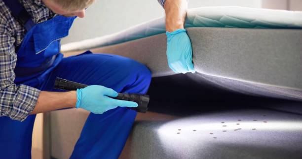 Best Wasp Removal Services  in Oak Grove, AL