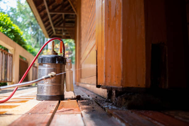 Best Local Pest Control Services  in Oak Grove, AL