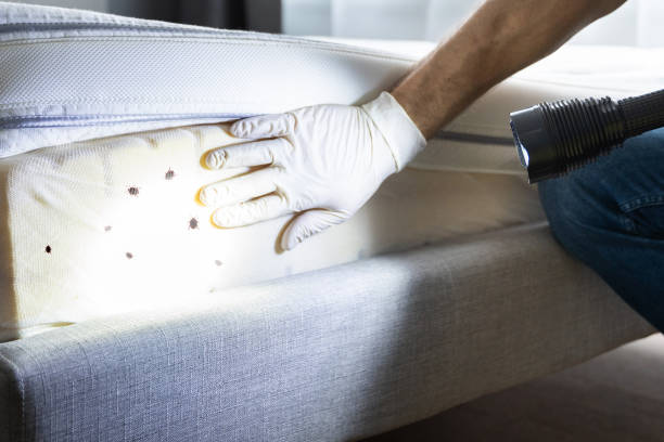 Best Affordable Pest Control Services  in Oak Grove, AL
