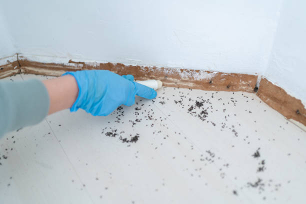 Best Pest Removal Services  in Oak Grove, AL